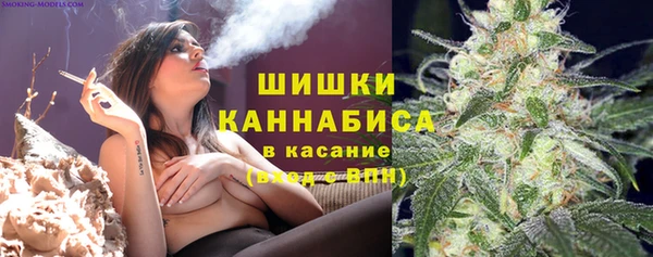крисы Баксан