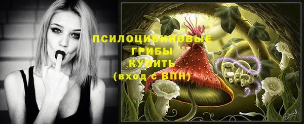 крисы Баксан