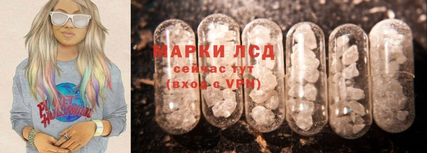 крисы Баксан