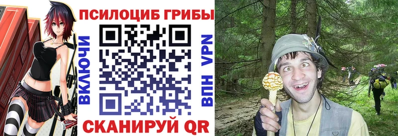Псилоцибиновые грибы Cubensis  Купить закладки  Острогожск 